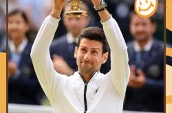 爱游戏-关于德约科维奇在日本队比赛中高光表现，连败引发热议！的信息