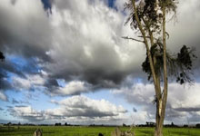 爱游戏-勇士观众热烈欢呼！，西亚卡姆迎来三赛季出色发挥再创辉煌时刻的简单介绍